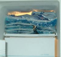 blue ice packs
