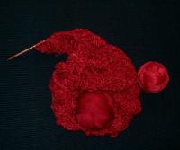 Johnna’s progress