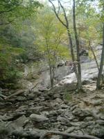 creek and falls at Cunningham