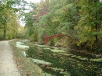 C&O Canal at Swain’s Lock