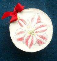 Amaryllis?  What amaryllis?