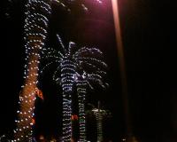 img00041.JPG