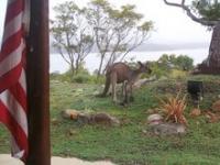 Tunie’s friend Rupert Roo