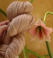 Fino dyed in amaryllis flowers