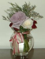 Meantime, the roses keep blooming