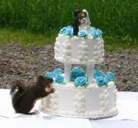 not our cake, we were inside