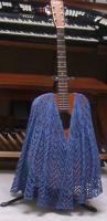 blueberries on a six-string Sigma 