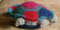 Diana\'s turtle in living color