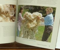 from Joanne Seiff's "Fiber Gathering"