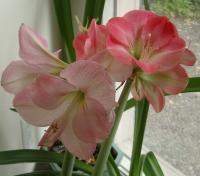 imgp7169