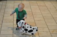 Parker getting the hang of this pet a pet thing